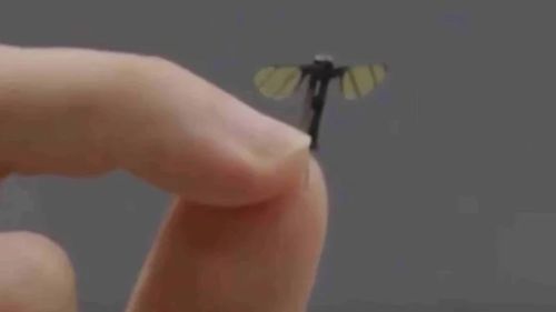 Un laborator de robotică militară chinez a creat o microdronă de dimensiunea unui țânțar pentru operațiuni secrete