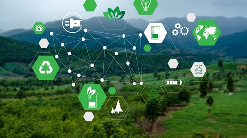 Tinerii pot candida pentru burse la cursuri online ale Universității Cambridge, pe tematica sustenabilității/ Trainer: ”Avem ocazia să înțelegem, în profunzime, o serie de subiecte care ne vor influența viață personală și profesională”