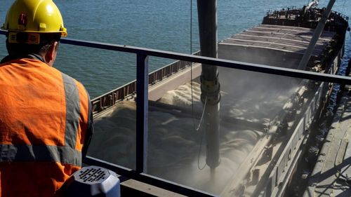 Portul Constanța a expediat o cantitate record de cereale ucrainene, 32 milioane de tone, în primele 11 luni ale anului