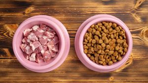 Hrana congelată și crudă (BARF) pentru animale de companie: Beneficii, riscuri și ce spun medicii veterinari