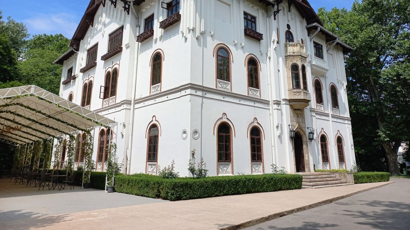 Cum au ratat trei instituții publice să cumpere, fără licitație, cel mai vast domeniu pentru evenimente din România. Palatul și Parcul Știrbey au ajuns, în final, la o apropiată a familiei lui Dan Voiculescu