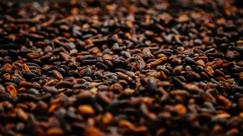 Analiză | Sectorul global al ciocolatei, la un pas de criză / Cargill suspendă măcinarea boabelor de cacao în Coasta de Fildeș, pe fondul deteriorării calității producției / În Ghana, al doilea producător mondial, recolta este la cel mai scăzut nivel