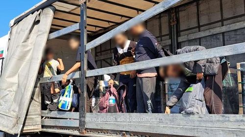 45 de migranți, solicitanți de azil în România, descoperiți într-un TIR la granița cu Ungaria/ Șoferul turc este cercetat penal / A declarat înainte de control că transportă un automobil