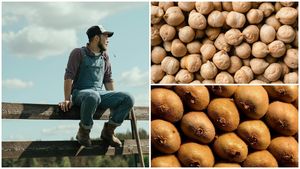 Să produci smochine sau sorg în România nu mai este o noutate. Tot mai mulți fermieri abordează schimbările climatice trecând la culturi de coriandru, năut sau kiwi