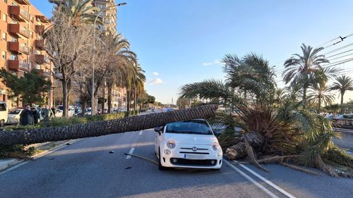 Alertă de vânt extrem în Catalonia: Traficul rutier afectat de rafale de aproape 170 km/oră / Cel puțin cinci persoane sunt rănite