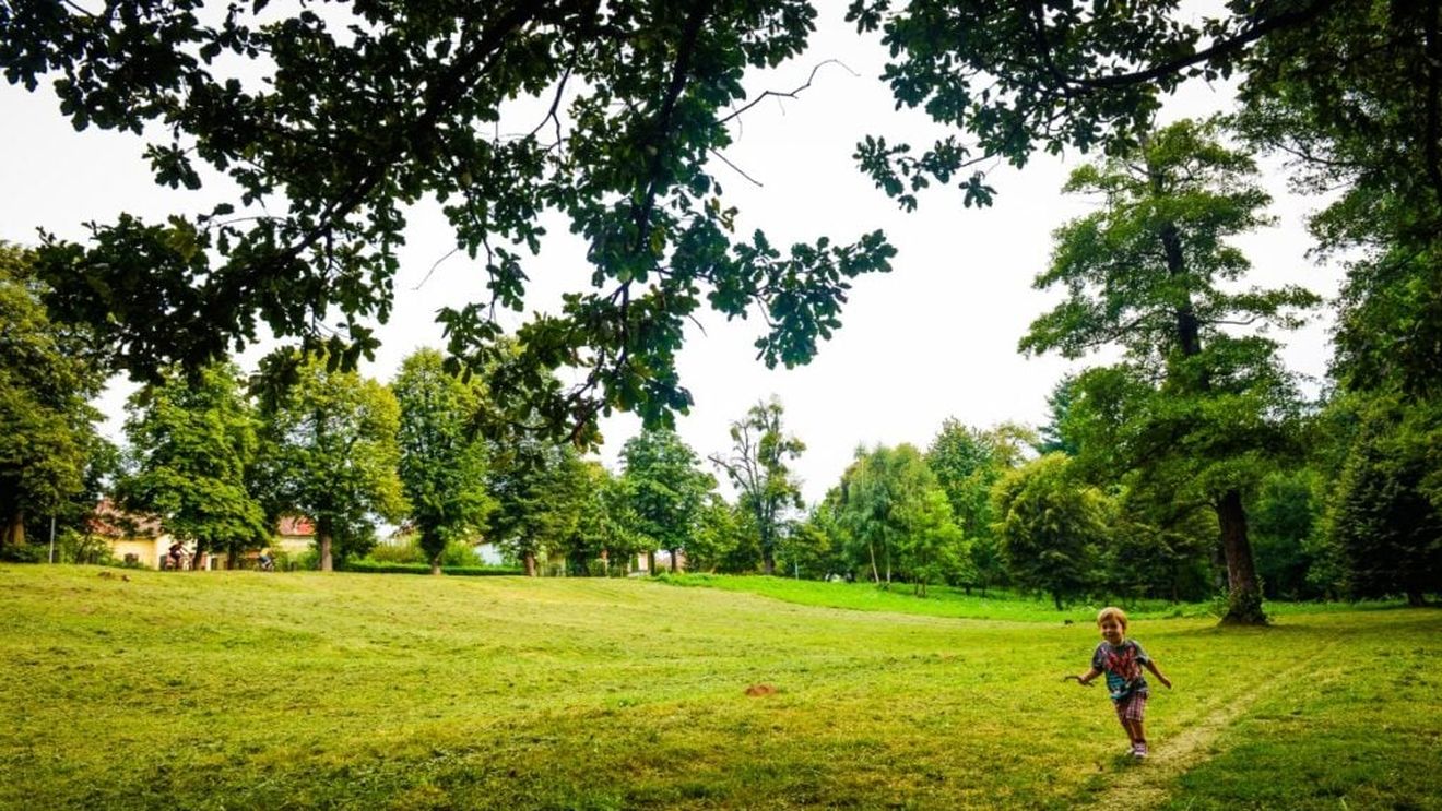 Parcul „Sub Arini” din Sibiu, reamenajat cu 3,3 milioane euro fonduri europene