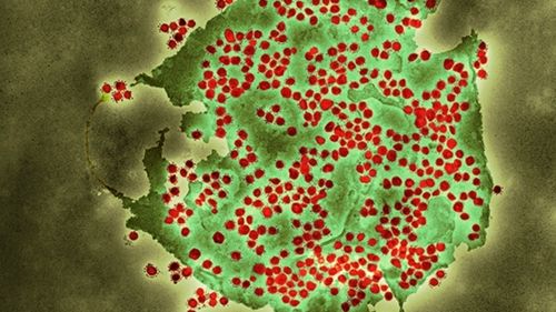 Varianta indiană de coronavirus a devenit dominantă în Marea Britanie, dar majoritatea infectaților sunt tineri și nevaccinați