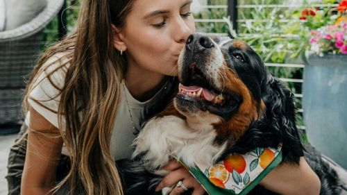 Pericolele culturii ‘‘fur baby‘‘: Când grijile noastre pentru animalele de companie devin stresante pentru ele