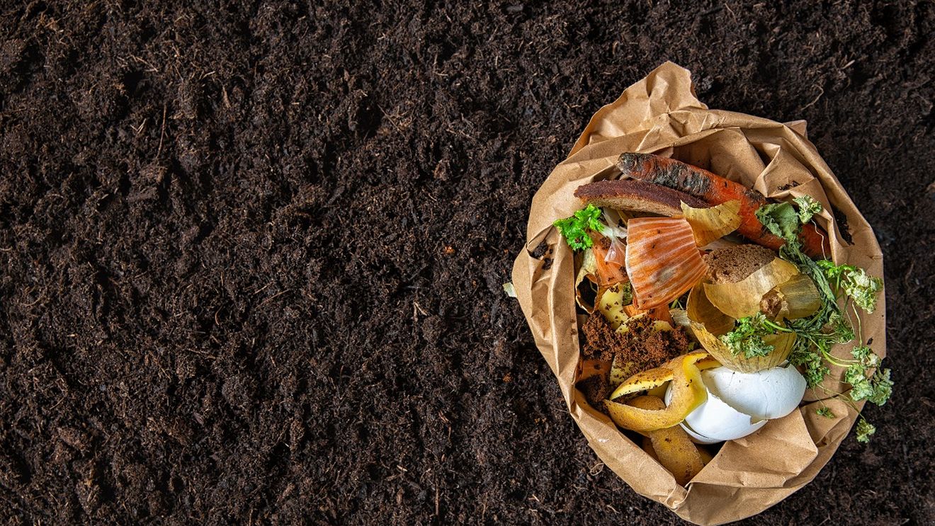 Deșeurile alimentare: O soluție biodegradabilă pentru criza plasticului?