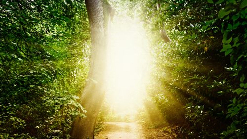 Un studiu relevă consecințele întunecate ale experiențelor la limita morții: “Sentimentul de a fi un străin în propria viață”