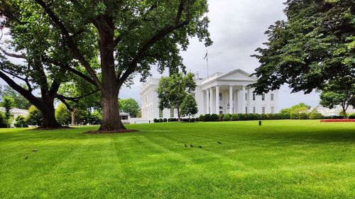Un vehicul s-a izbit de poarta Casei Albe, şoferul a murit pe loc / Nicio ameninţare nu a fost detectată în direcţia reşedinţei preşedintelui american Joe Biden