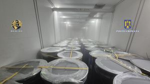 Captură record de cocaină în Portul Constanța / Drogurile erau ascunse în 16 tone de pulpă de fructe congelată