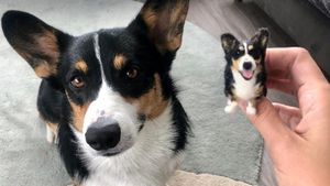 O artistă ingenioasă „micșorează” animalele de companie în replici adorabile. Tânăra de 29 de ani a transformat un hobby într-o afacere de succes