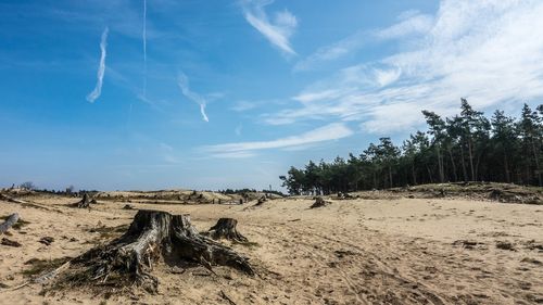 Secetă în Bihor: Două râuri au secat parţial, iar şase sate se confruntă cu restricţii de apă / În Arad, râurile Teuz şi Timercea au ajuns la debit zero pe unele sectoare, la fel şi râul Checheţ din judeţul Satu Mare