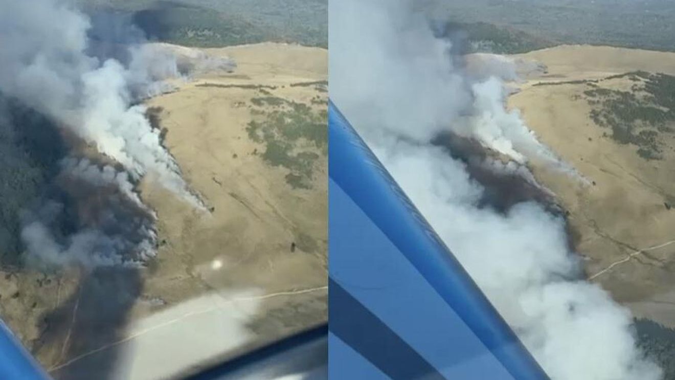 Incendiul din Munţii Gutâi a fost lichidat / 80 de hectare de vegetaţie au fost distruse de foc