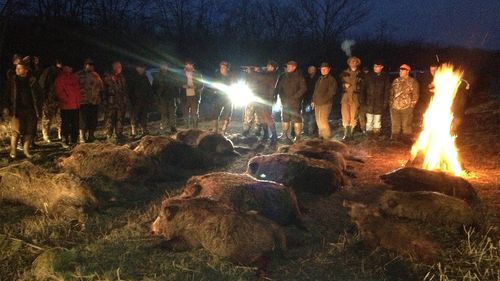 RISE Project: Directorii Tel Drum participau la partide de vânătoare alături de cei care le acordau contracte publice: Liviu Dragnea, Marian Oprișan, Nicușor Constantinescu, Paul Stănescu