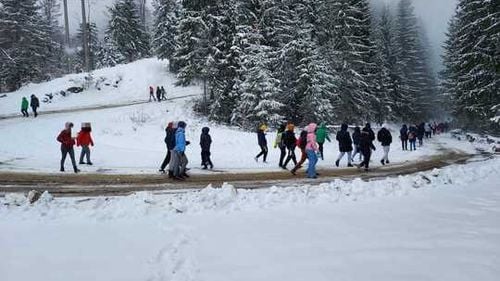 Turişti rămaşi înzăpeziţi pe drumul către pârtia Transalpina, scoşi de jandarmi din nămeţi