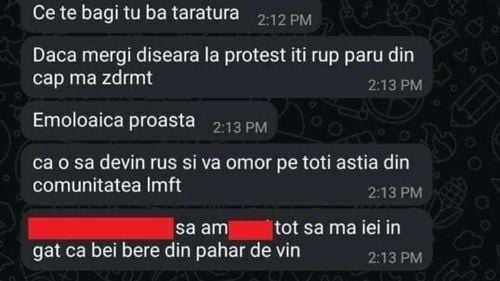 FOTO Protestatarii anti-Georgescu și anti-Rusia din Arad, amenințați cu moartea și atacuri homofobe