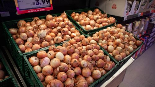 Ucraina exportă ceapă în România deoarece stocurile din Republica Moldova au început să scadă, iar prețurile au crescut