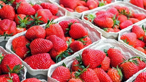 Căpșune din Grecia, retrase de pe piață de inspectorii sanitari veterinari români / A fost depistat un pesticid neaprobat, numit karanjin