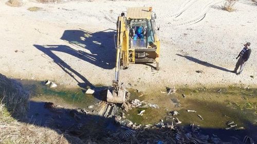 Aproape 100 de tone de resturi de animale au fost găsite pe 100 mp pe malul unui râu din Argeș/ Autoritățile caută poluatorii