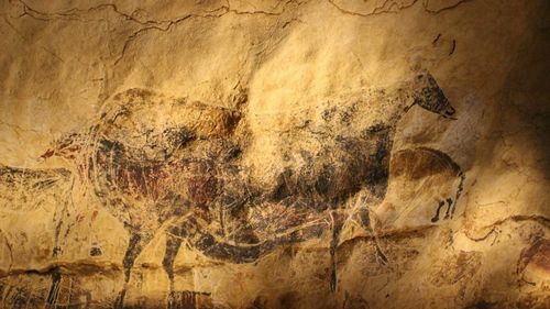 Studiu: O peșteră din Argentina conține mărturiile a peste 130 de generații umane / ”Este uimitoare cantitatea de artă rupestră pe care am găsit-o acolo”