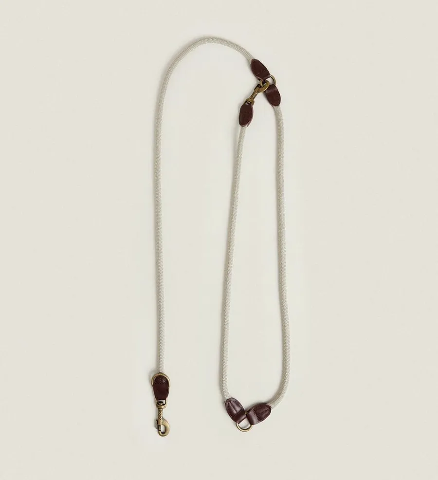 moda, moda pentru caini, accesorii pentru caini 
