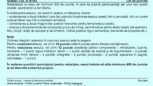 Subiecte Limba română uman – simulare BAC 2024. Eseu de 400 de cuvinte despre un text poetic ce aparține lui Ion Barbu
