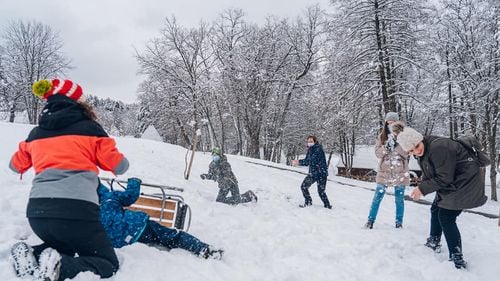 VIDEO Premieră în cel mai mare muzeu în aer liber din țară: Plimbări cu sania trasă de câini