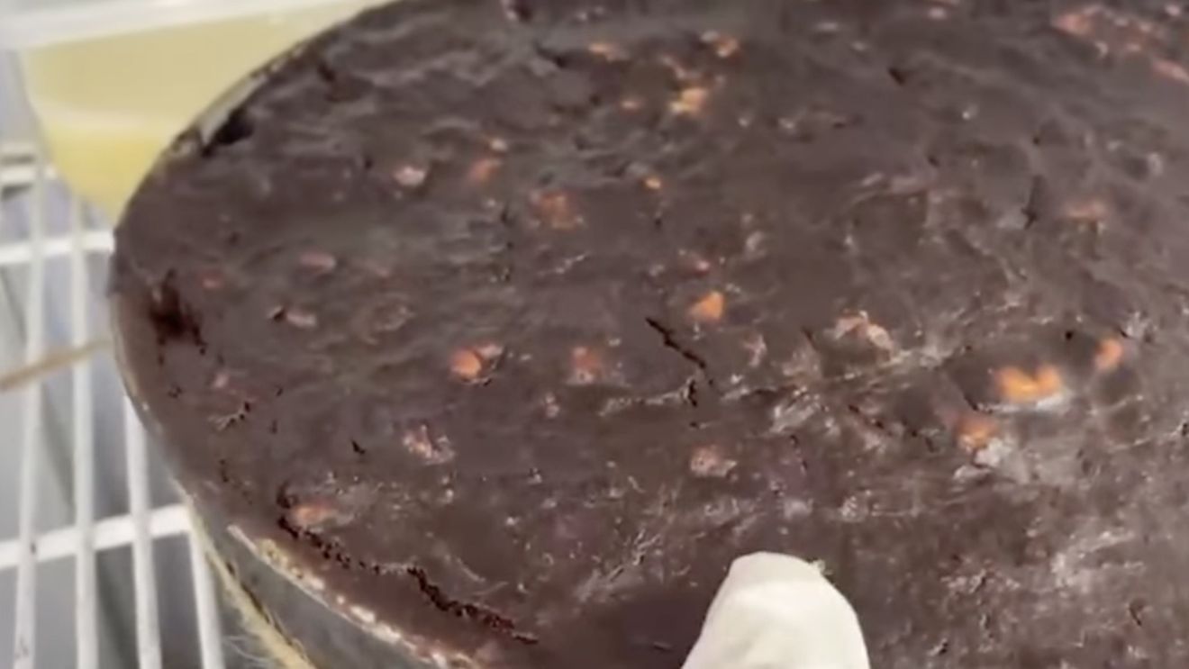 VIDEO Comisarii de la Protecţia Consumatorilor au oprit temporar funcţionarea unui restaurant din Sectorul 6 al Capitalei