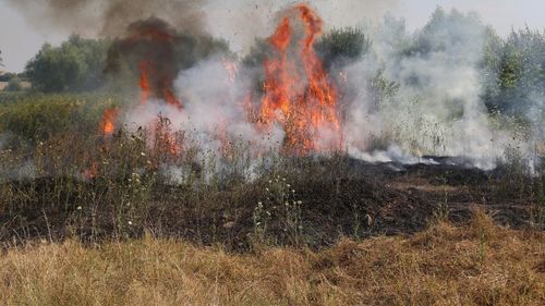Incendiu de vegetație la Periș, în apropiere de București, pe aproximativ 10 hectare/ A fost emis mesaj RO-ALERT