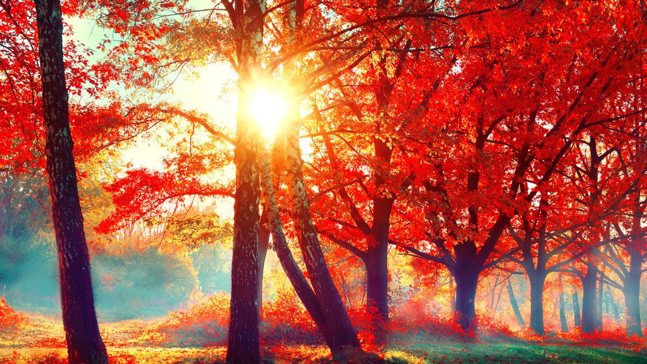 Vremea se va răci accentuat începând de miercuri, cu temperaturi care vor fi cu până la 15 grade mai scăzute decât în zilele precedente / În sudul ţării, va fi vânt puternic de la noapte