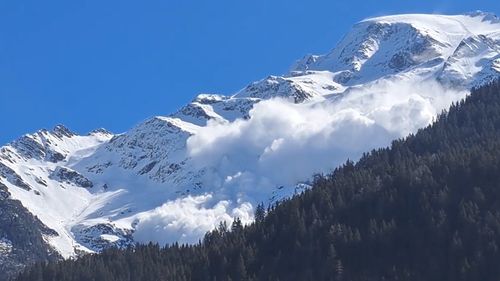 Cel puțin cinci persoane au murit într-o serie de avalanșe în vestul Austriei