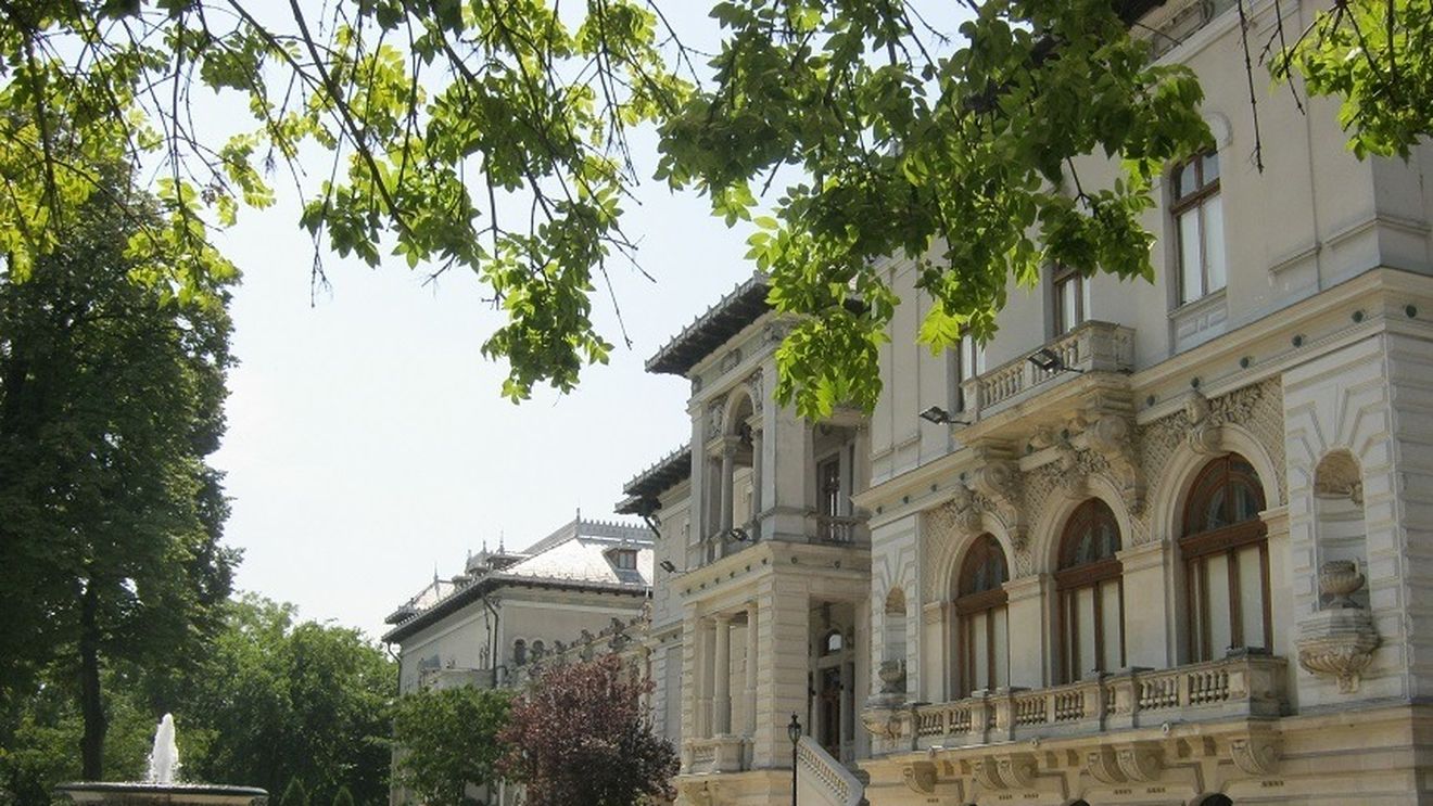 Publicaţii de artă şi istorie, disponibile gratuit pe site-ul Muzeului Naţional Cotroceni