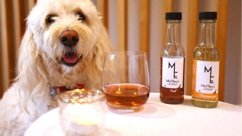 Animalele de companie au propriul vin fără alcool. Nu conține struguri, ci un ingredient secret care le relaxează în situații stresante / Afacerea are un succes nebun în Australia și Noua Zeelandă