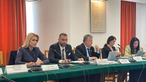 Senatoare PSD: Pragul de 250.000 de lei a fost propus chiar de către ministrul Predoiu și există dovezi incontestabile în acest sens