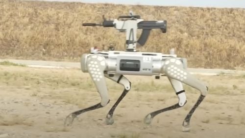 China prezintă un câine-robot cu o pușcă automată montată pe spate
