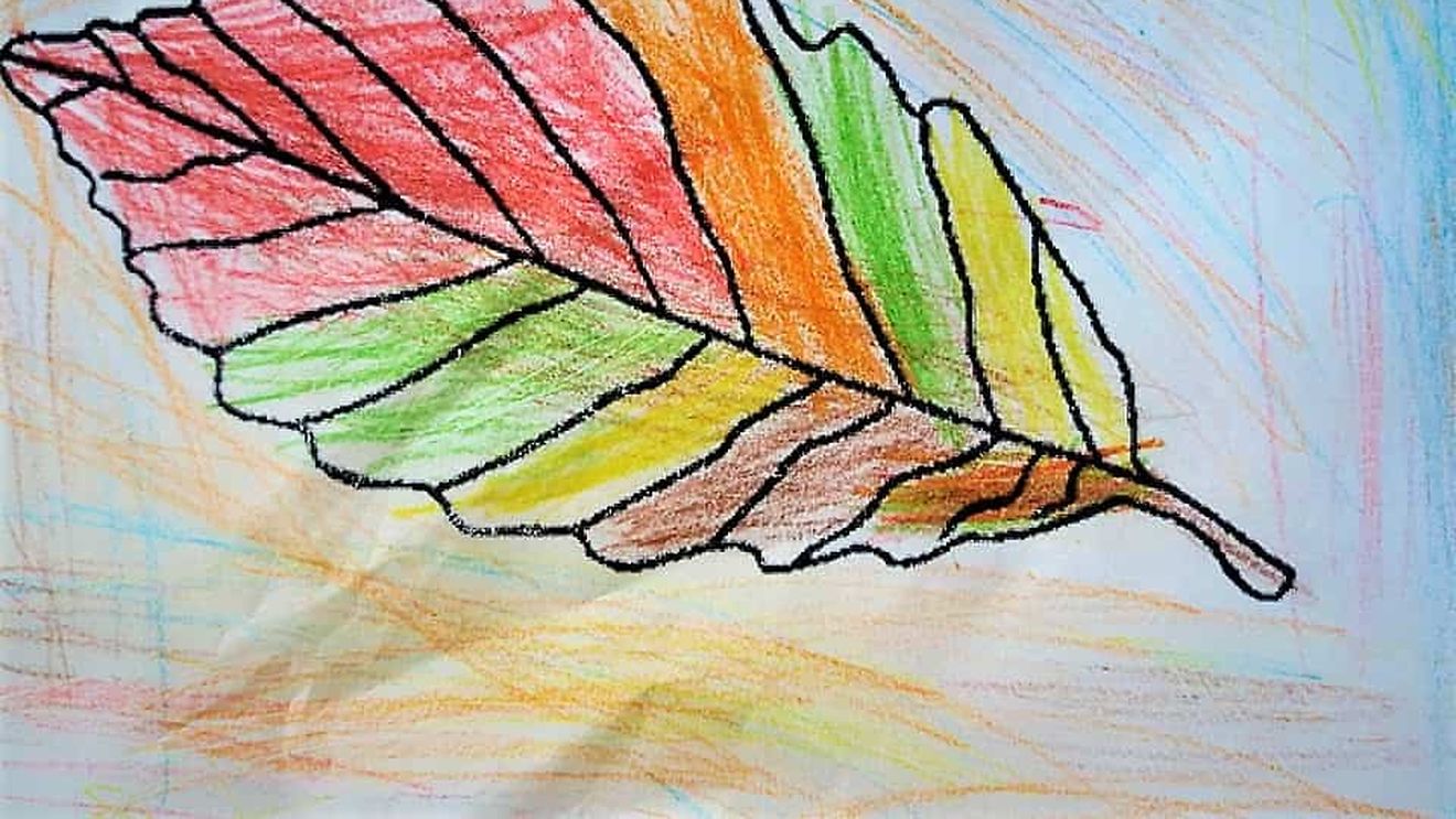 Diana Teleagă, învățătoare: N-am lăsat niciodată repetenți. N-am să uit cum i-au strălucit ochii când și-a scris prima dată numele