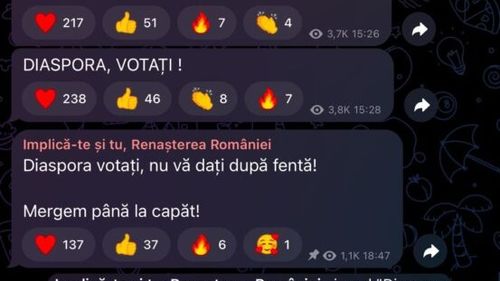 Simpatizanții din diaspora ai candidatului pro-rus Călin Georgescu, îndemnați pe grupurile de propagandă să-l voteze în continuare, după decizia CCR de anulare a alegerilor și după ce BEC a oprit procesul de vot