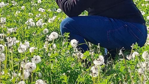 Mesajul unui olandez stabilit în România, de Ziua Națională: „Cât de vast este vocabularul unei limbi îți dai seama abia când te ceartă femeia și rămâi mut la atâta creativitate și bogăție de exprimare”