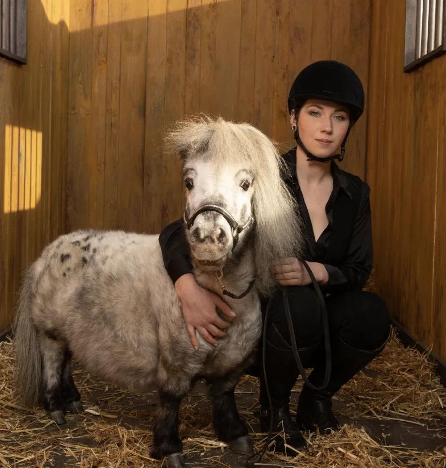 pets, ponei, guinness world record, cel mai mic ponei 
