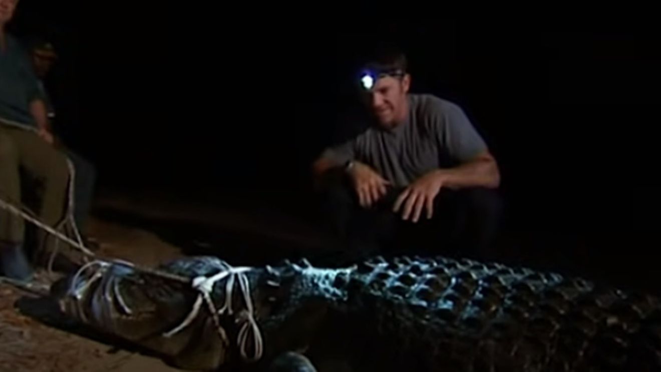 Un renumit expert britanic în crocodili recunoaște că a abuzat sexual zeci de câini