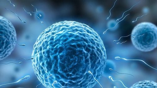 Un nou studiu stabilește o legătură între expunerea la insecticide și scăderea concentrației de spermatozoizi la bărbați