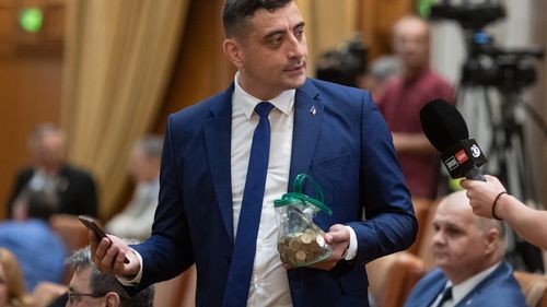 Simion, în căutare de legume românești pentru nuntă / Replică de la fosta videochatistă Oana Lovin, supărată că liderul AUR nu se mai ocupă de țară, de două luni: „Ce mâncare tradițional românească faci tu cu ciuperci champignions?”