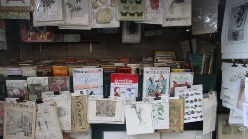 REPORTAJ Buchiniştii din Paris, anticarii de pe malurile Senei, au revenit pe fâșia de circa trei kilometri de-a lungul digului