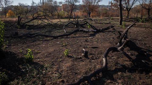 Ciprian Ciucu: Am semnat pactul pentru salvarea Parcului IOR. Primăria Capitalei trebuie să îşi asume lupta în justiţie pentru recuperarea parcului