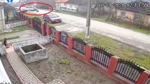 VIDEO Câine călcat intenţionat cu maşina. Şoferul fără milă, căutat de Poliţie