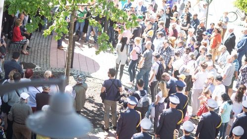 Stejarul plantat de custodele coroanei regale în Piața Libertății din Timișoara ar putea fi înlocuit, după ce s-a uscat / Va fi adus un altul de pe Domeniul Regal de la Săvârșin / Viceprimarul susține că plantarea s-a realizat necorespunzător