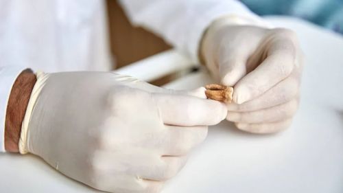 Mistere istorice rezolvate de știință în 2025