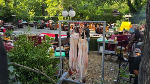 EXCLUSIV În plină austeritate, petrecere de ziua lui George Simion în local de lux din centrul Bucureștiului cu trei miei la proțap. Organizatorii refuză să spună cine a plătit pentru eveniment